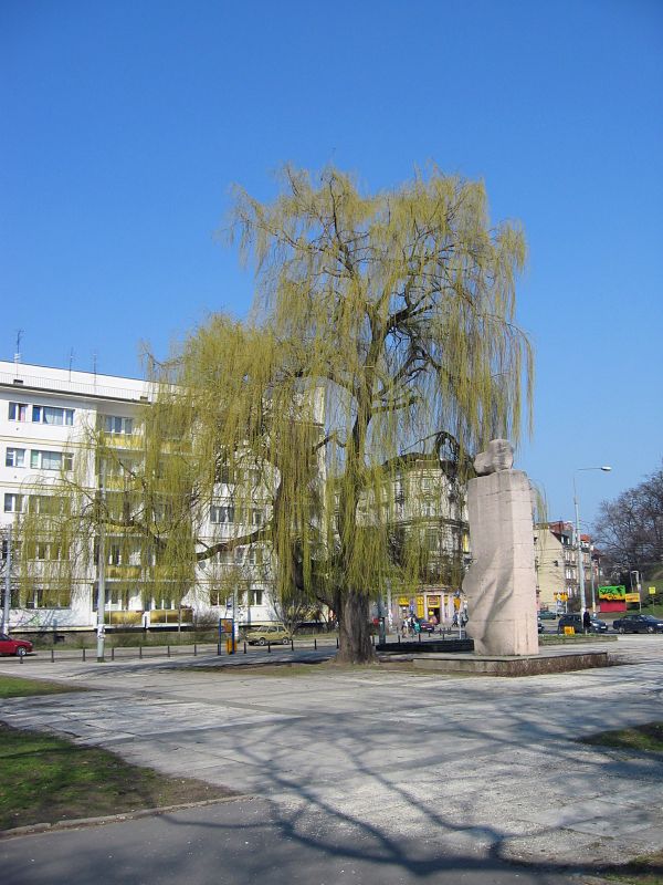 Original image