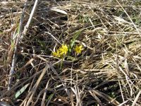 thumbs/IMG_1083.jpg