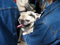 thumbs/IMG_1237.jpg