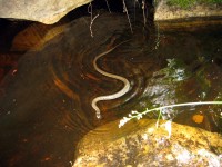 thumbs/IMG_10381.jpg