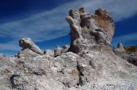 thumbs/DSC_0252.JPG