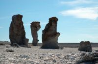 thumbs/DSC_0256.JPG