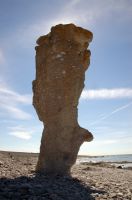 thumbs/DSC_0261.JPG