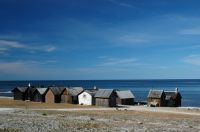 thumbs/DSC_0265.JPG