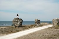 thumbs/DSC_0051.JPG