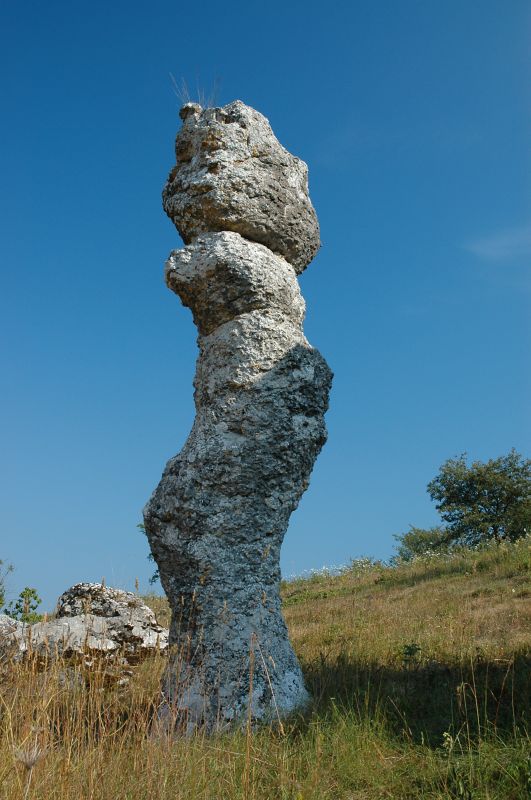 Original image