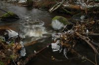 thumbs/DSC_0150.JPG