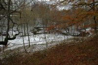 thumbs/DSC_0154.JPG