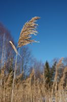 thumbs/DSC_0084.JPG