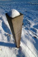 thumbs/DSC_0089.JPG