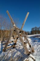 thumbs/DSC_0093.JPG