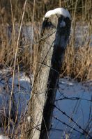 thumbs/DSC_0095.JPG