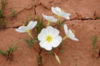 thumbs/DSC_0288.JPG