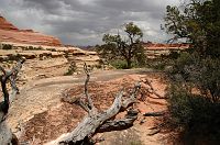 thumbs/DSC_0580.JPG