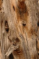 thumbs/DSC_0756.JPG