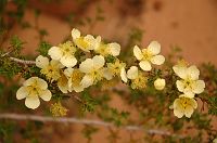 thumbs/DSC_0758.JPG