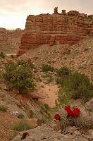 thumbs/DSC_0759.JPG