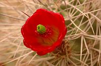 thumbs/DSC_0763.JPG