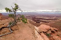 thumbs/DSC_0860.JPG