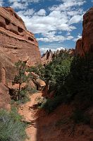 thumbs/DSC_1063.JPG
