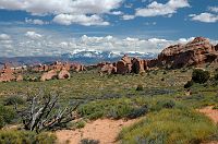 thumbs/DSC_1067.JPG