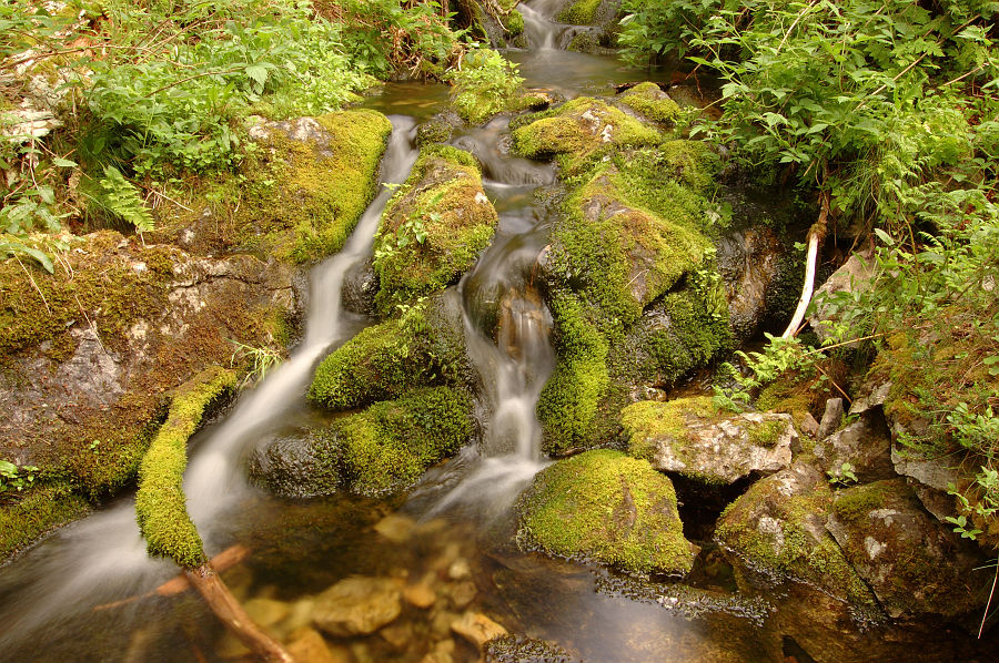 Original image