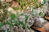 thumbs/DSC_0007.JPG