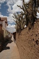 thumbs/DSC_0166.JPG