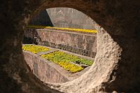 thumbs/DSC_0182.JPG