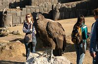 thumbs/DSC_0209.JPG