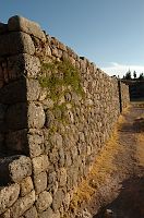 thumbs/DSC_0219.JPG