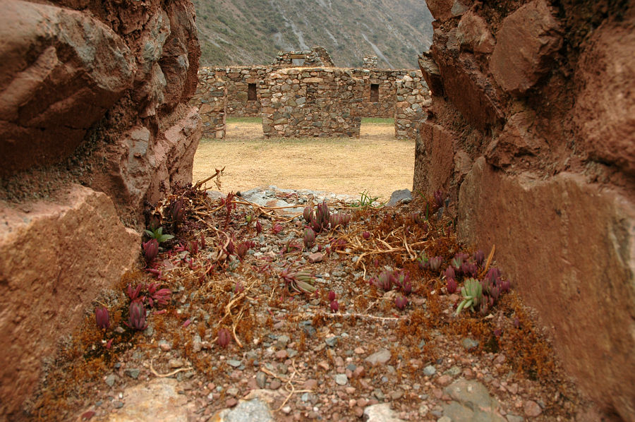 Original image