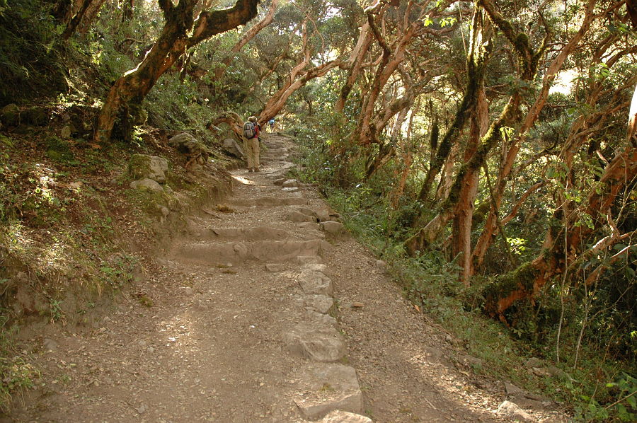 Original image