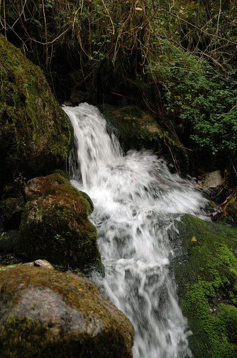 Original image