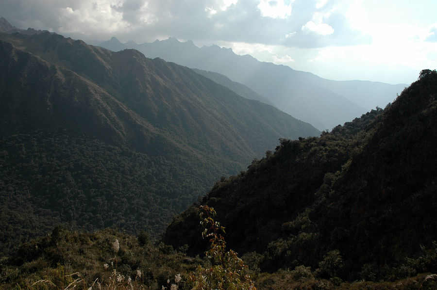 Original image