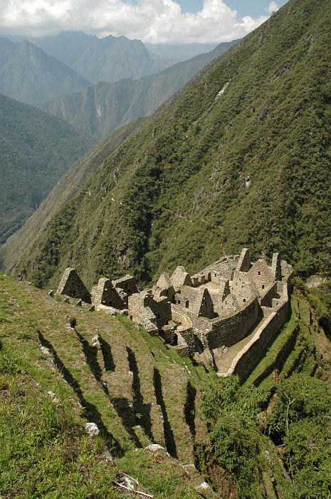 Original image