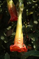 thumbs/DSC_0443.JPG