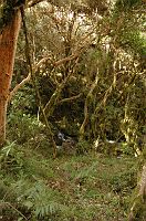 thumbs/DSC_0452.JPG