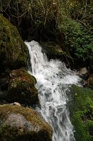 thumbs/DSC_0455.JPG