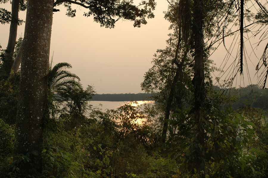 Original image