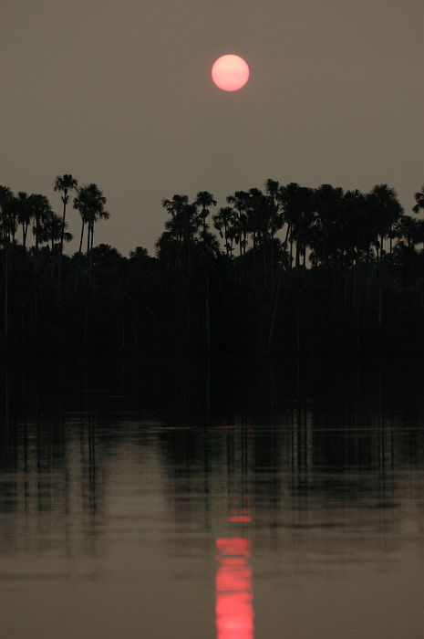 Original image