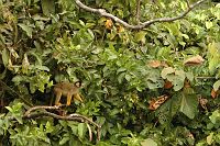 thumbs/DSC_0912.JPG