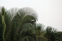 thumbs/DSC_0923.JPG