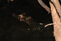 thumbs/DSC_0934.JPG