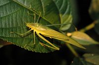 thumbs/DSC_0935.JPG