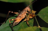 thumbs/DSC_0947.JPG