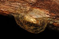 thumbs/DSC_0962.JPG