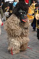 thumbs/DSC_2049.JPG