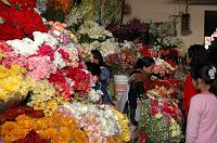 thumbs/DSC_2069.JPG