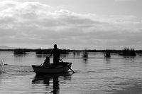 thumbs/DSC_2116.JPG